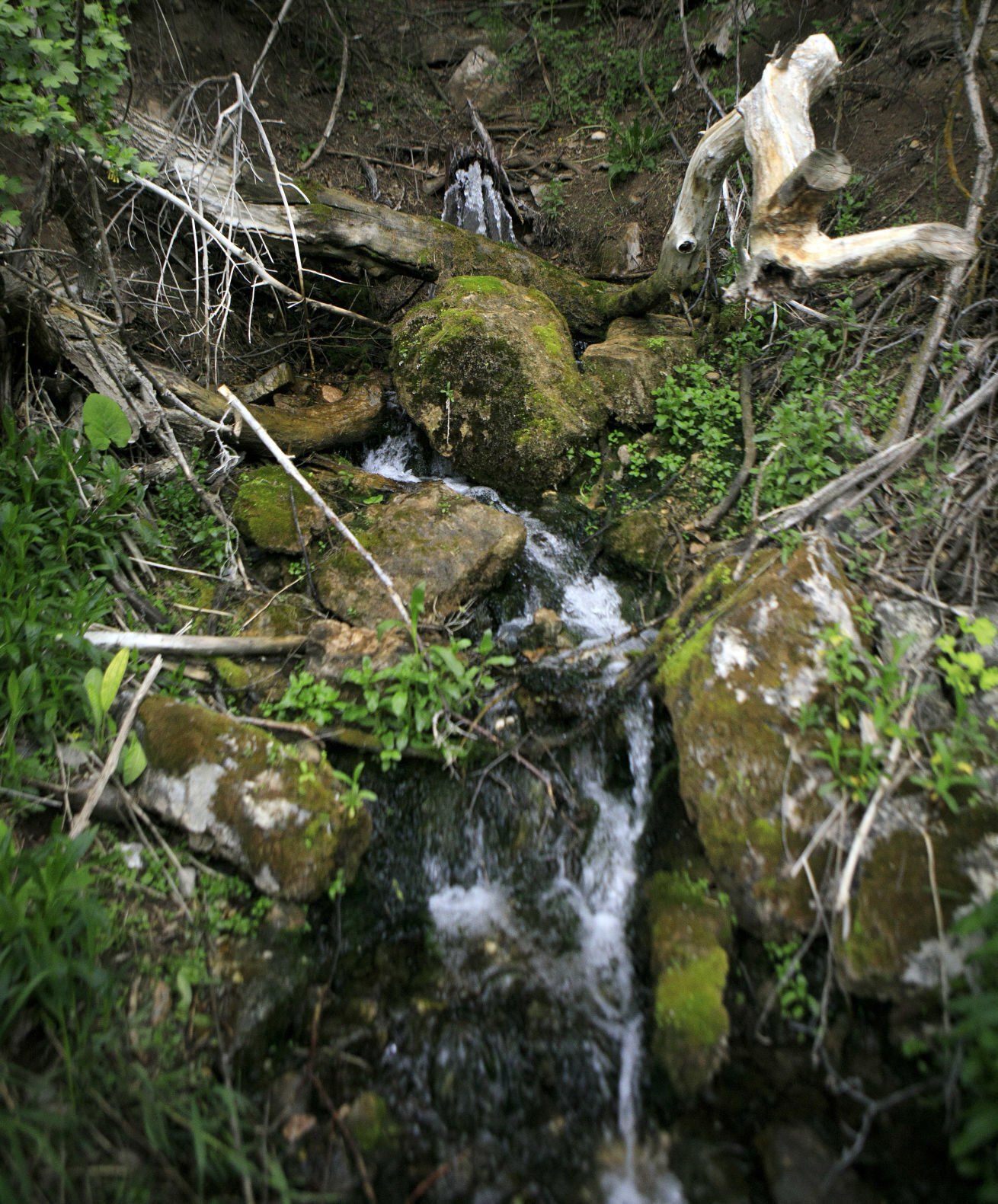 Crow Water